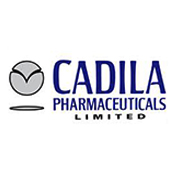 Certification logo 17